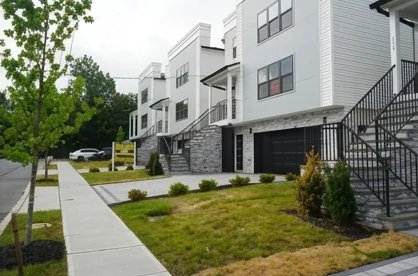 Detail from the South Park Avenue Linden project